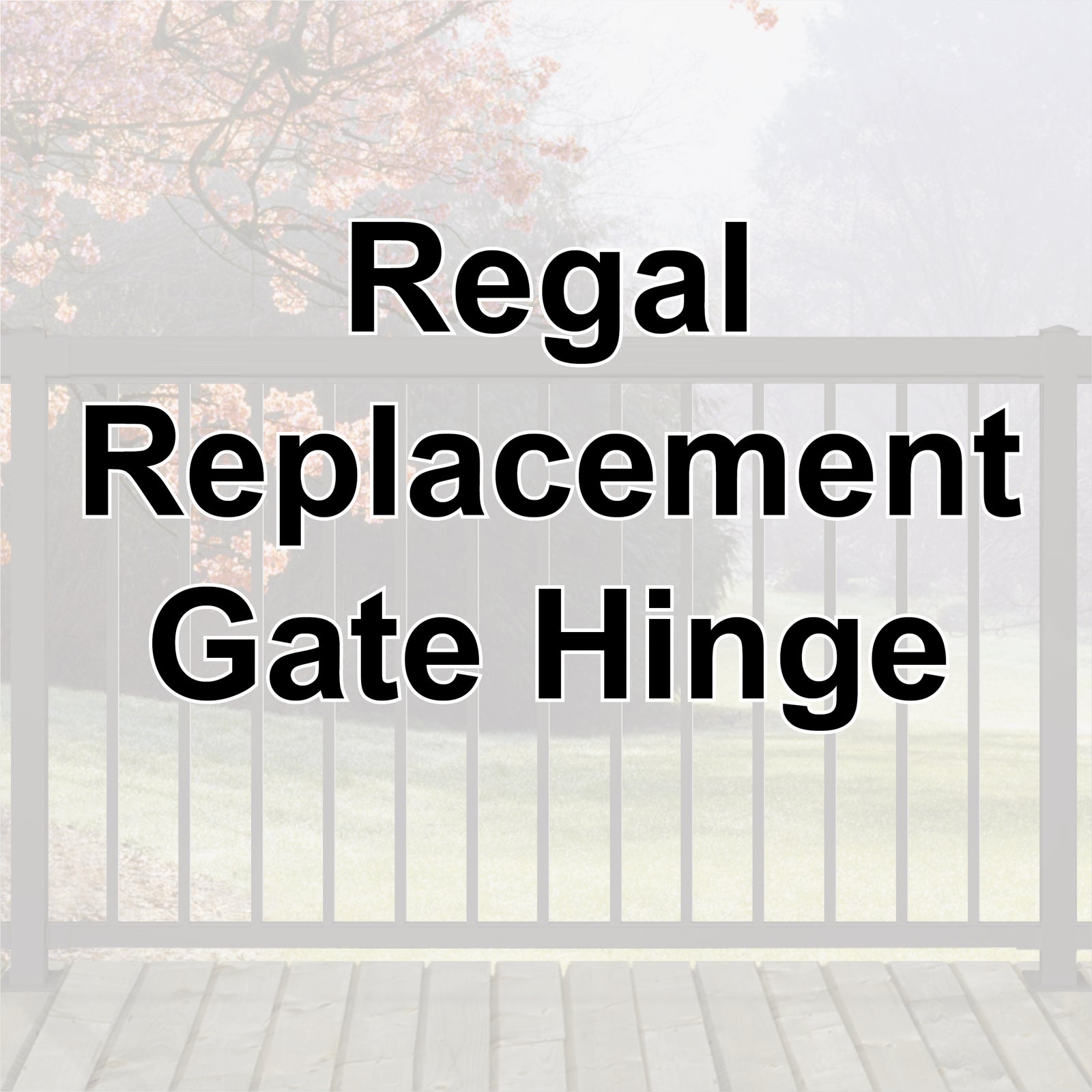 Replacement Gate Hinge (Regal) - SET