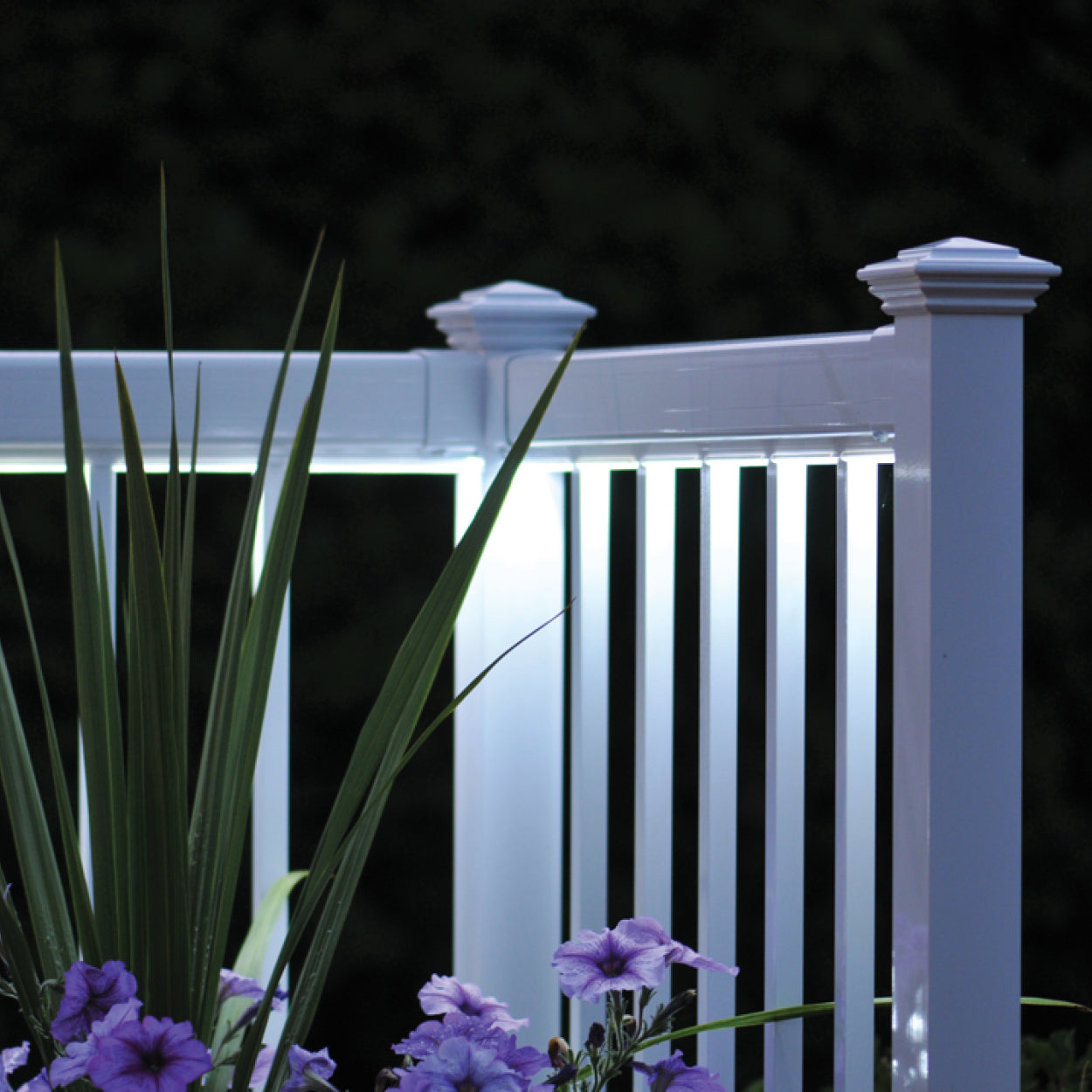 LED Lighting Strips (78")