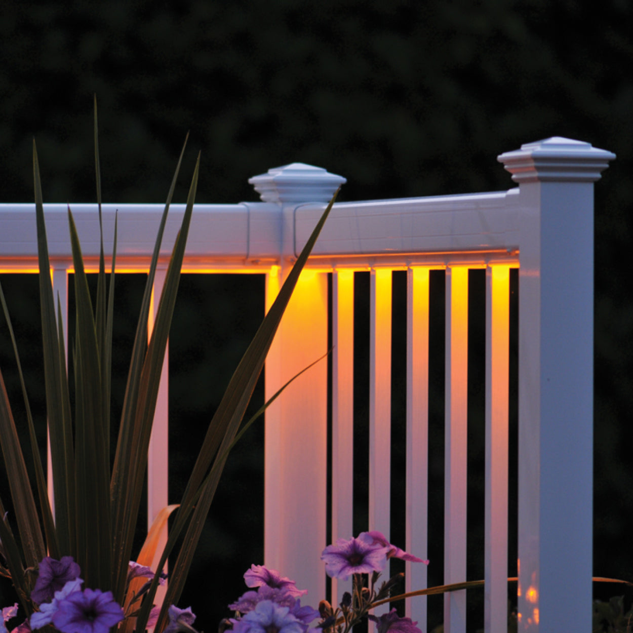 LED Lighting Strips (78")