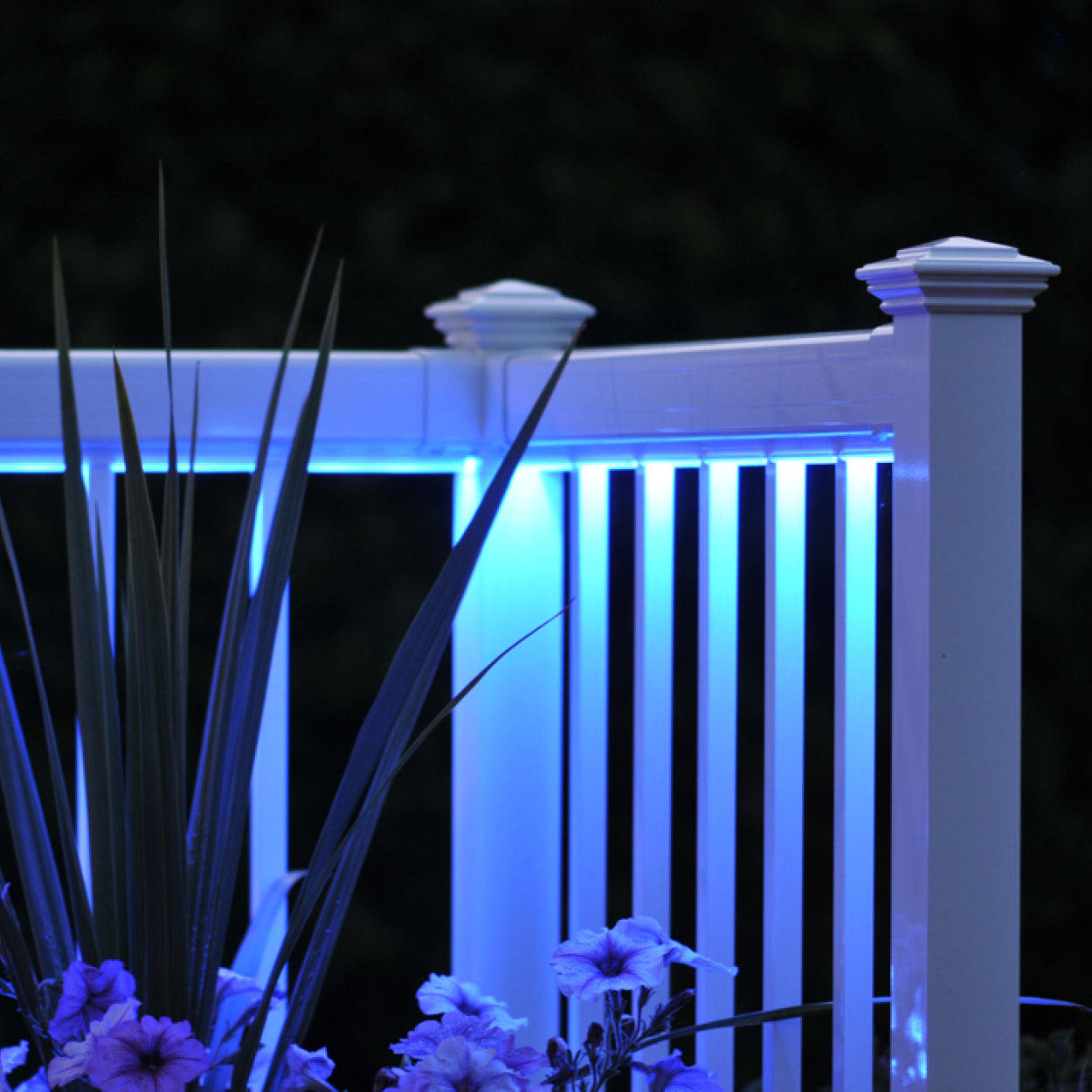 LED Lighting Strips (78")